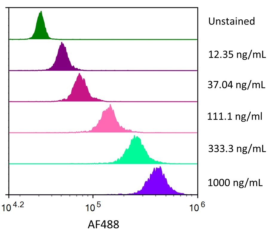 Streptavidin coated beads conjugated to biotinylated anti-Human Siglec-3/CD33 Monoclonal Antibody were stained with the indicated concentrations of Recombinant Human Siglec-3/CD33 Fc Chimera Alexa Fluor® 488.
